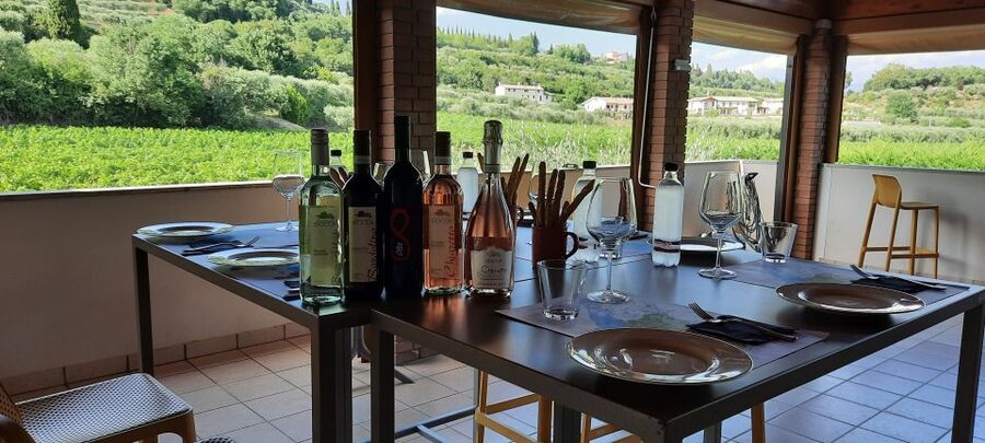Bardolino: Vineyard Tour with Wine, Olive Oil & Food Tasting - What the Bardolino wines tell you