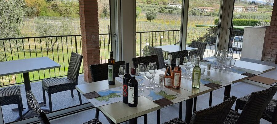 Bardolino: Vineyard Tour with Wine, Olive Oil & Food Tasting - Should you book it?