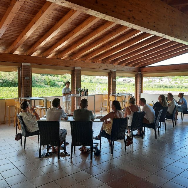 Bardolino: Vineyard Tour with Wine, Olive Oil & Food Tasting - Five wines on the terrace