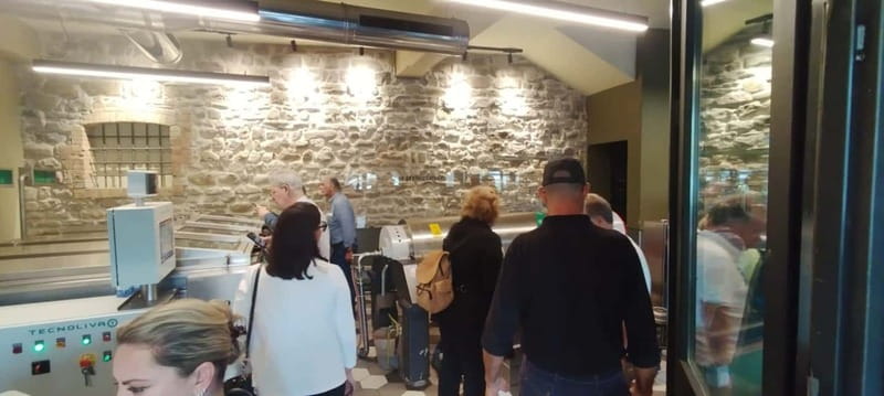 Bevagna: Olive Oil Mill Tour with Guided Tasting - Key points to know before booking