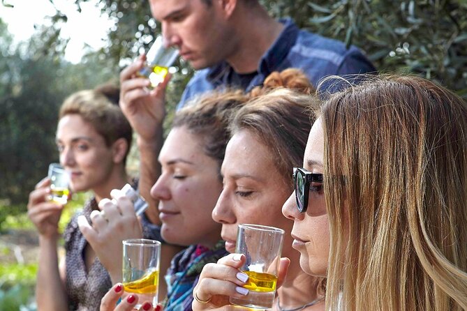 Bio Farm Private Olive Oil Tasting, Farm to Fork Meal & Temple of Poseidon Tour - Key points to know before booking