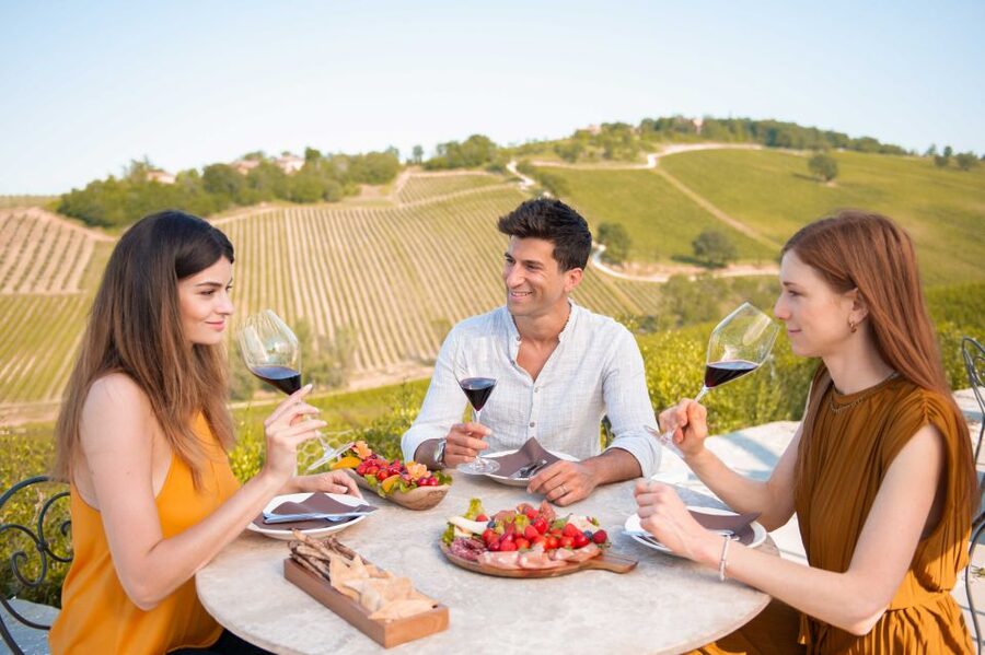 Bologna: Olive Grove and Vineyard Tour with Product Tastings - Key points to know before booking