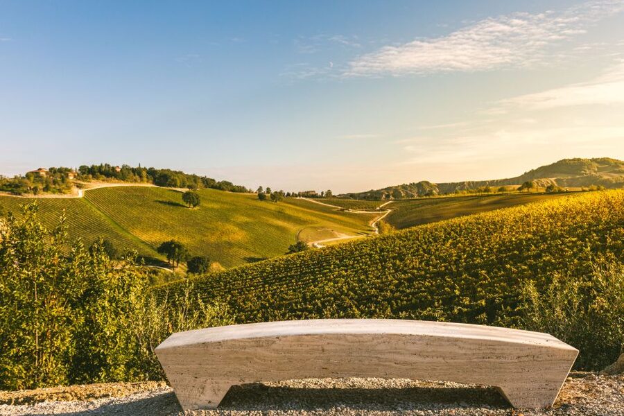 Bologna: Olive Grove and Vineyard Tour with Product Tastings - Walking among olives, vines, gardens, and saffron