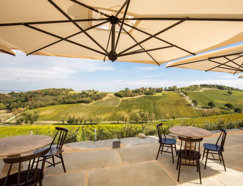 Bologna: Olive Grove and Vineyard Tour with Product Tastings - Why the terrace matters