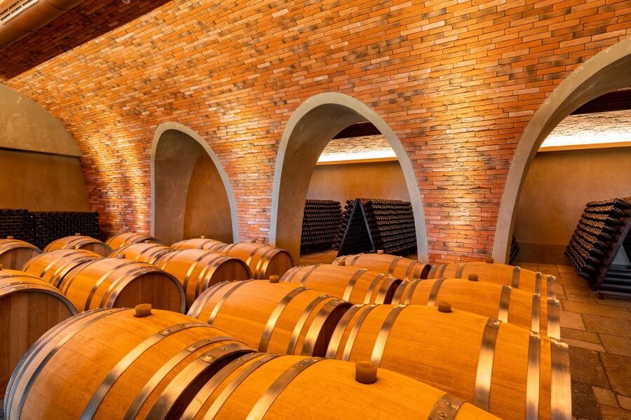 Bologna: Olive Grove and Vineyard Tour with Product Tastings - Who will enjoy this short tasting most