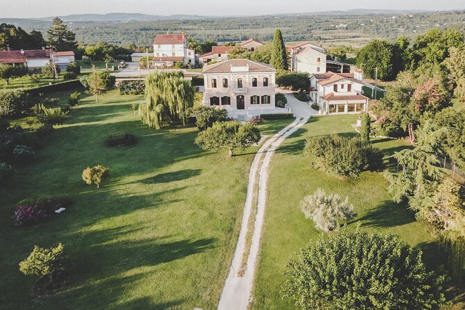 Buje: Authentic Istrian family farm, guided walk, foods & wine - Walking through the olive groves and vineyards