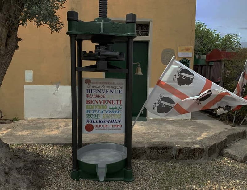 Cagliari Olive Oil Farm & Tasting (Since 1600, 20 Min Away) - A family mill with 400 years behind it