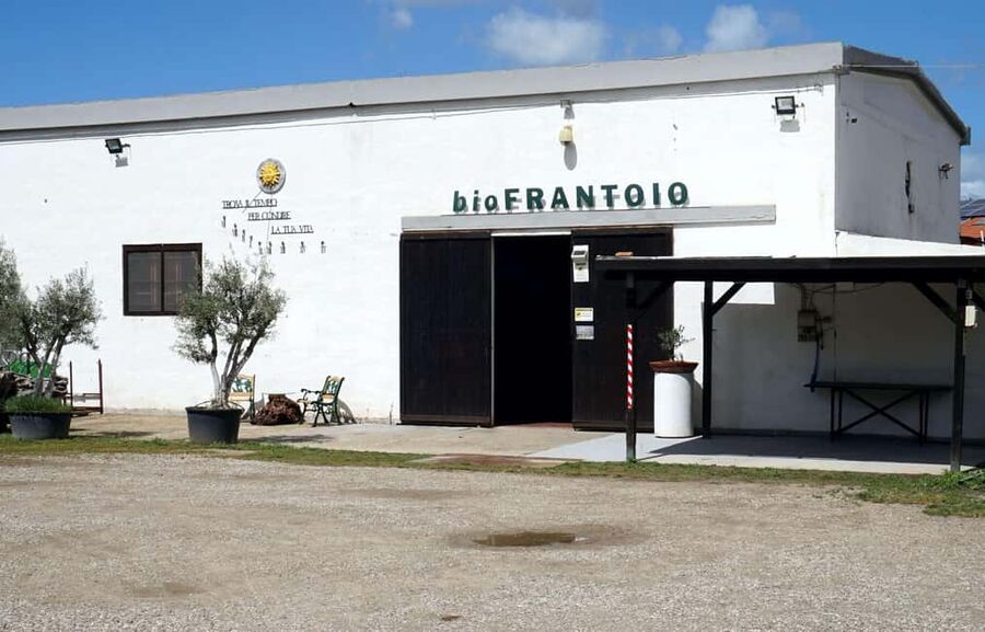 Cagliari Olive Oil Farm & Tasting (Since 1600, 20 Min Away) - Sa Mola de Su Notariu and the old stone mill