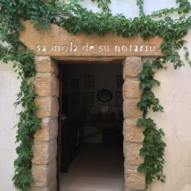Cagliari Olive Oil Farm & Tasting (Since 1600, 20 Min Away) - Learning to taste extra virgin olive oil