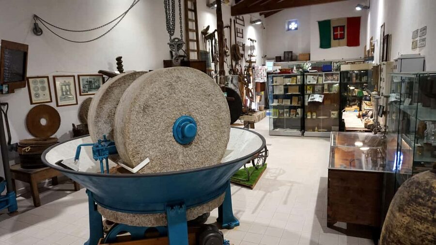 Cagliari Olive Oil Farm & Tasting (Since 1600, 20 Min Away) - Getting there from Cagliari