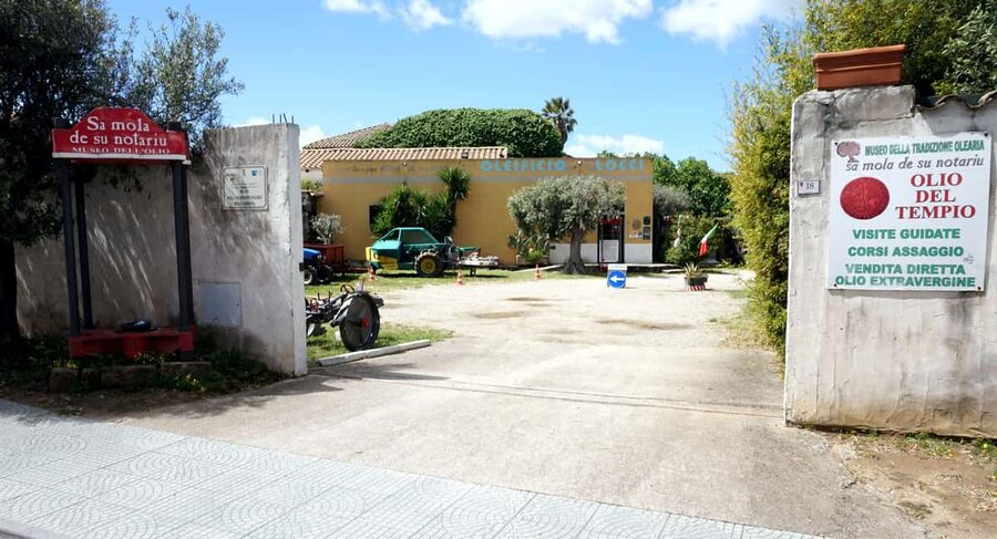 Cagliari Olive Oil Farm & Tasting (Since 1600, 20 Min Away) - The working mill in about 10 minutes