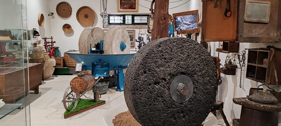 Cagliari: Wine and Olive oil Experience + Oil Mill Museum - Why the private format matters