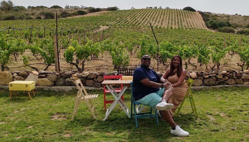 Cagliari: Wine and Olive oil Experience + Oil Mill Museum - Four hours with a practical meeting point