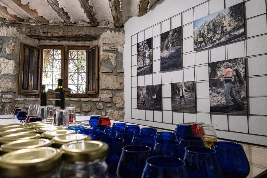 Cazorla: Highligts Tour with Olive Oil Tasting - What the $17 price really covers
