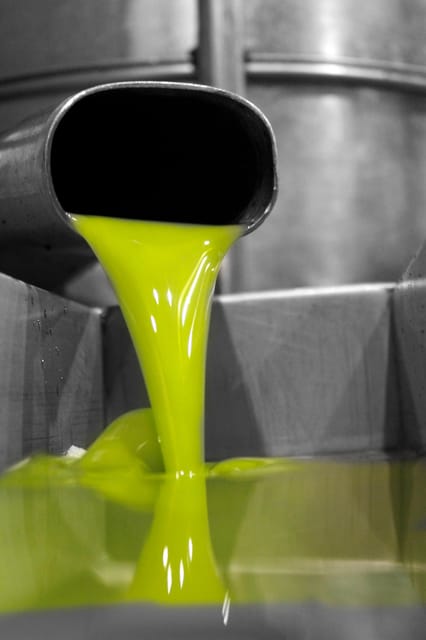 Cazorla: Oleotour - Olive Oil Culture Initiation - My booking advice