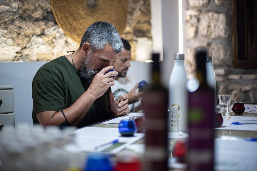 Cazorla: Olive grove and mill tour - Key points at a glance