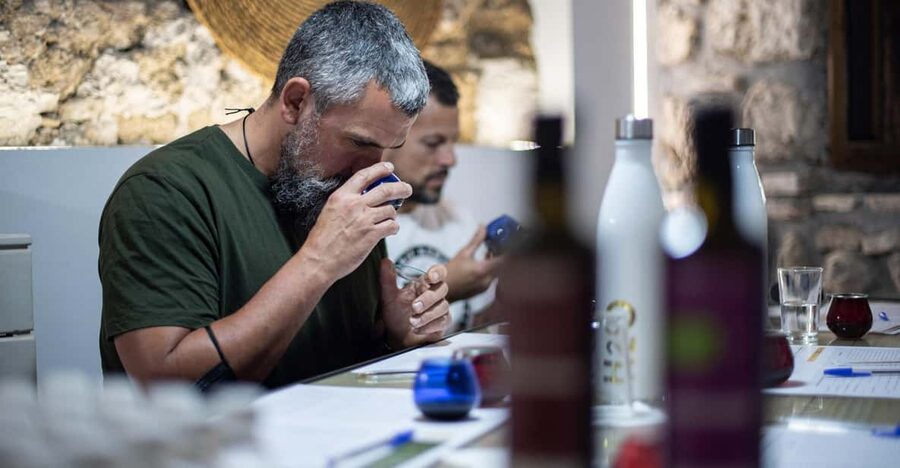 Cazorla: Olive grove and mill tour - Stop three: a 75-minute olive oil tasting