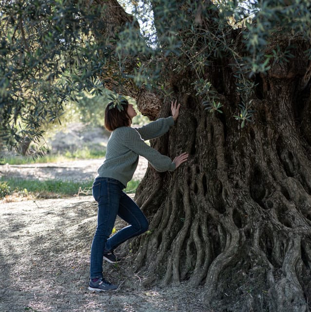 Cazorla: Olive grove and mill tour - Practical details before you reserve