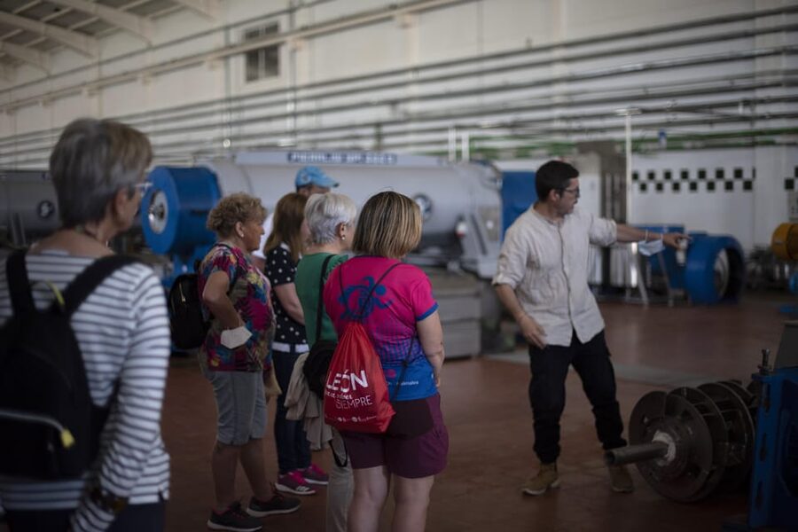 Cazorla: Olive grove and mill tour - Who will enjoy this olive oil tour?