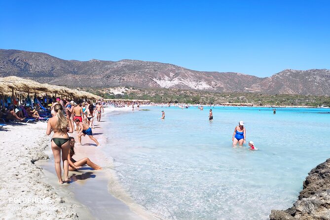 Chania: Elafonisi & Falasarna Private Tour w/olive oil tasting - Who should book this day?