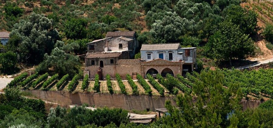 Chania: Milia Mountain Tour w/Lunch Olive Oil/Wine Tastings - Who will enjoy this day most?