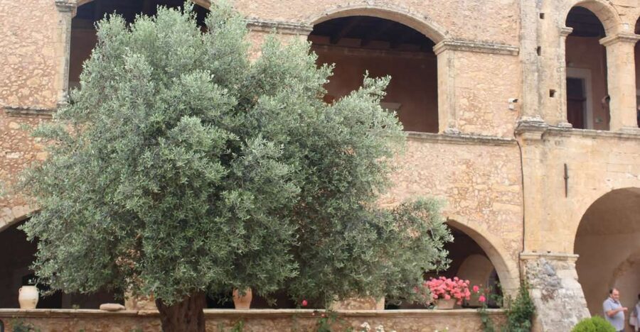 Chania Private Olive Oil Tour: Oil Tasting & Villages Tour - Key points to know before booking