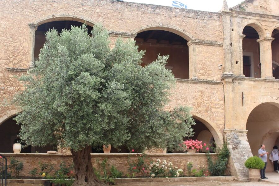 Chania Private Olive Oil Tour: Oil Tasting & Villages Tour - Why this tour is different from a simple tasting