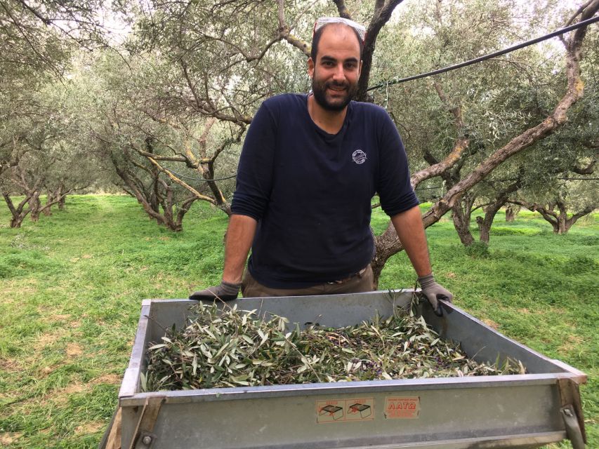 Chania Private Olive Oil Tour: Oil Tasting & Villages Tour - The modern factory and final tasting