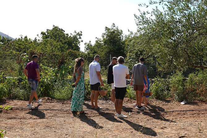 Chania Sourdough Bread Class - Olive Oil Tasting - A Family Table Near Chania
