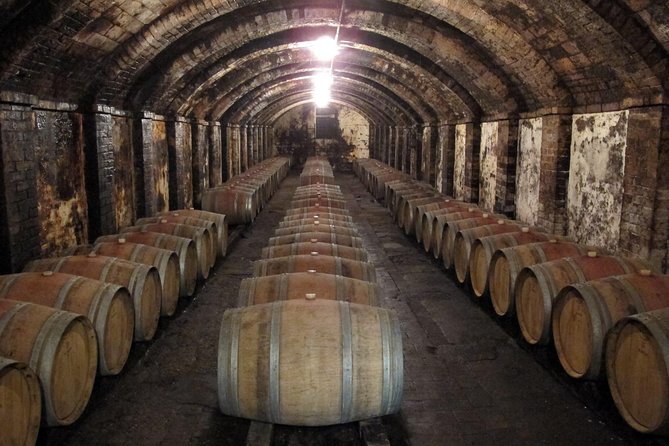 Chianti from Florence:PRIVATE Wine, Olive Oil Tasting in the Tuscan countryside - Castellina in Chianti and the first family cellar