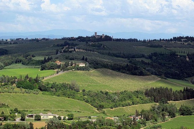 Chianti from Florence:PRIVATE Wine, Olive Oil Tasting in the Tuscan countryside - The driver and the cellar sommeliers