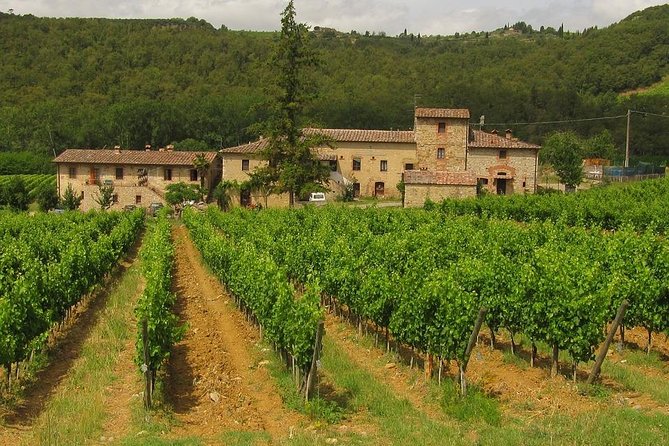 Chianti from Florence:PRIVATE Wine, Olive Oil Tasting in the Tuscan countryside - Small details that make planning easier