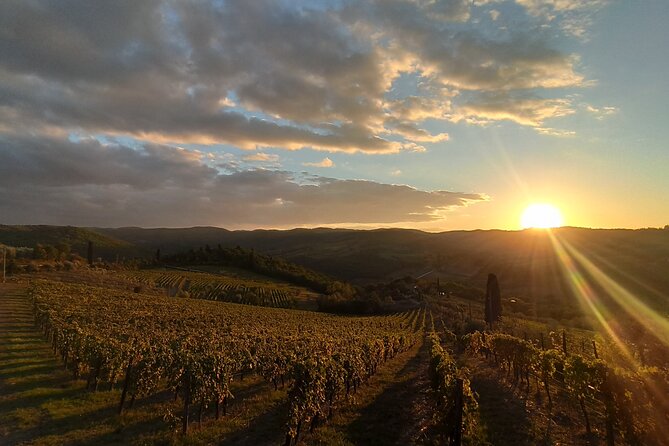 Chianti from Florence:PRIVATE Wine, Olive Oil Tasting in the Tuscan countryside - Is this Chianti day trip a good buy?