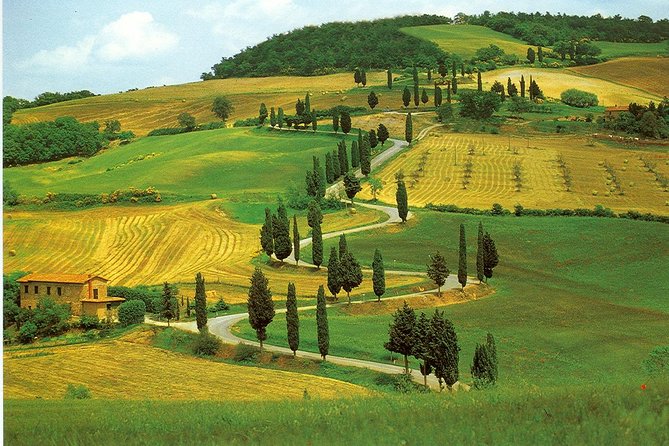 Chianti from Florence:PRIVATE Wine, Olive Oil Tasting in the Tuscan countryside - FAQ