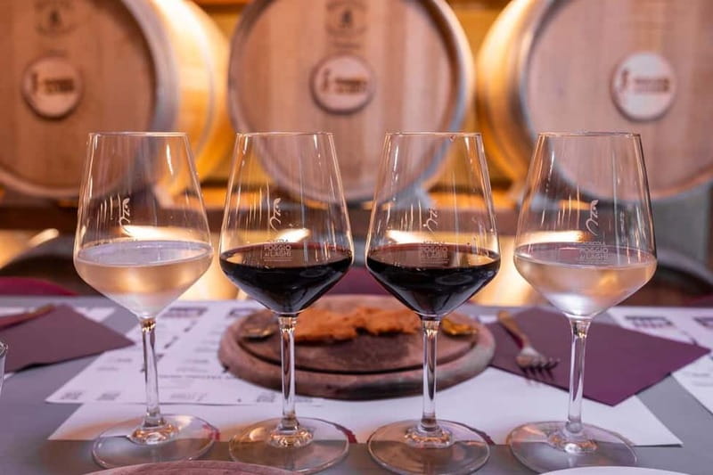 Chianti: Premium Wine, Olive Oil and Vinegar Tasting - What the $36 price includes