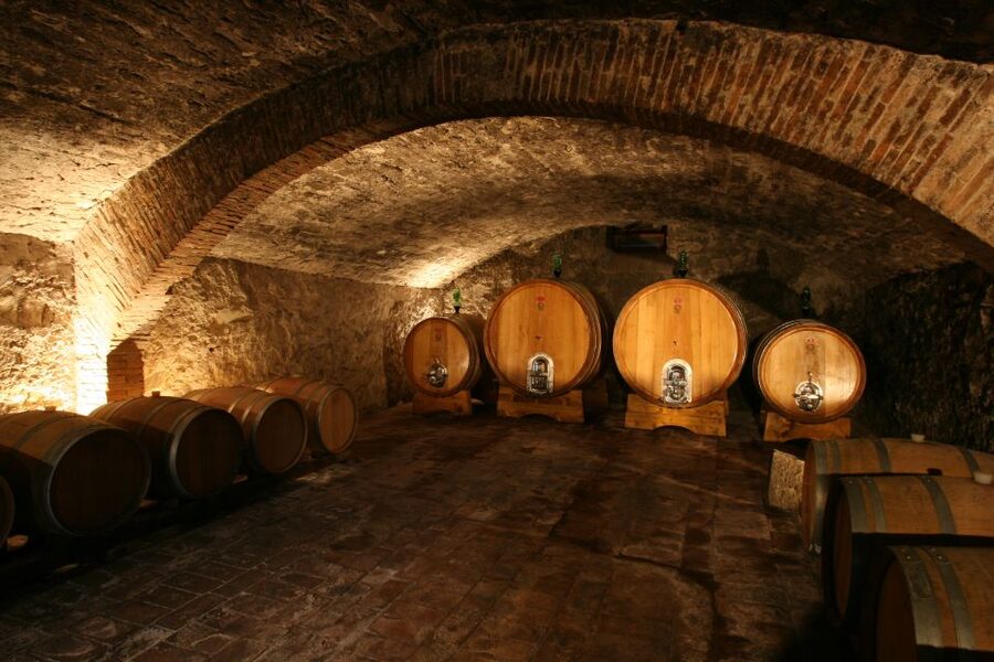 Chianti: Wine and Olive Oil Tasting with Cellar Tour - Seeing the large cellar and fermentation tanks