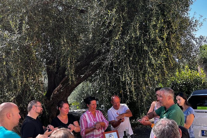 Cooking Classes and olive oil tasting.The real taste of Greece! - Cooking with the family, not just watching