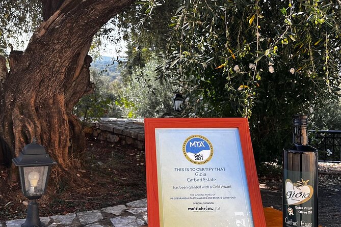 Cooking Classes and olive oil tasting.The real taste of Greece! - The olive press and tasting