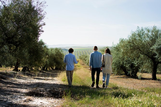 Cordoba Olive Oil mill, Wine, Passion - Why Córdoba is the right place for an olive oil tour