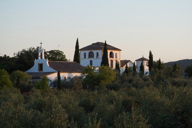 Cordoba Olive Oil mill, Wine, Passion - From Mercado Victoria to the Sierra de Córdoba
