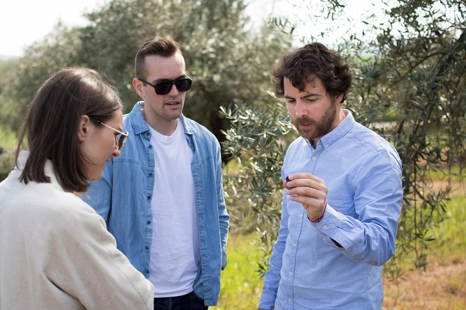 Cordoba Olive Oil mill, Wine, Passion - Seeing how olive oil production changed