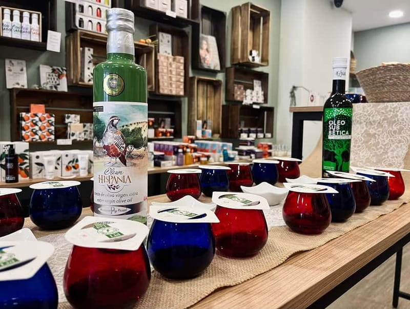 Córdoba: Olive Oil Tasting Experience - Learning how olive oil reaches the bottle