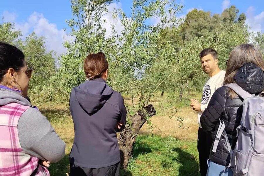 Córdoba: Visit a family organic olive grove with tasting - Key points to know before booking