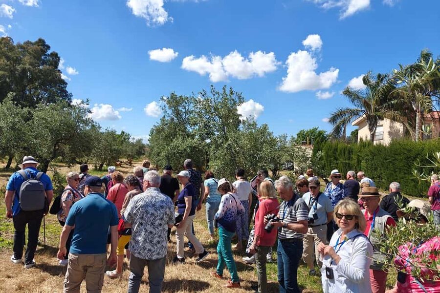 Córdoba: Visit a family organic olive grove with tasting - Why this farm visit feels different from a standard tasting
