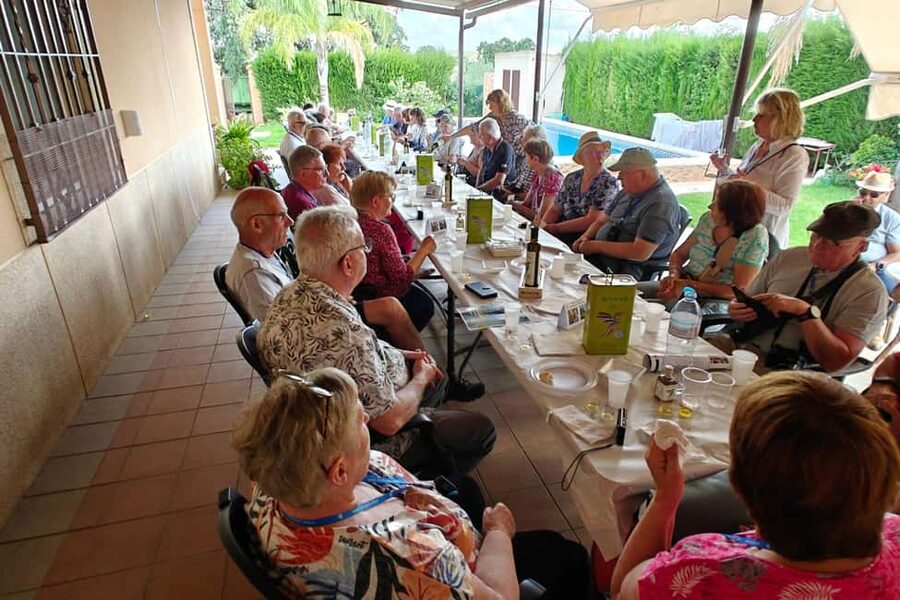 Córdoba: Visit a family organic olive grove with tasting - Walking among the organic olive trees