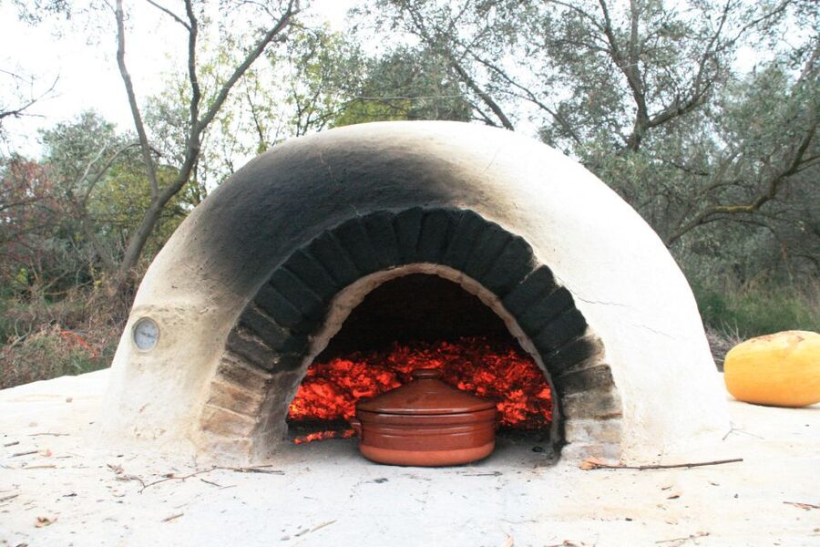 Corfu: Greek Cooking Class & Olive Oil Tasting - Who will enjoy this most
