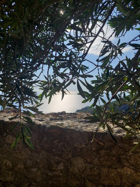 Corfu: Hiking in Olive Groves,Village,Sunset,with Swim Stop - Narrow paths toward Rovinia