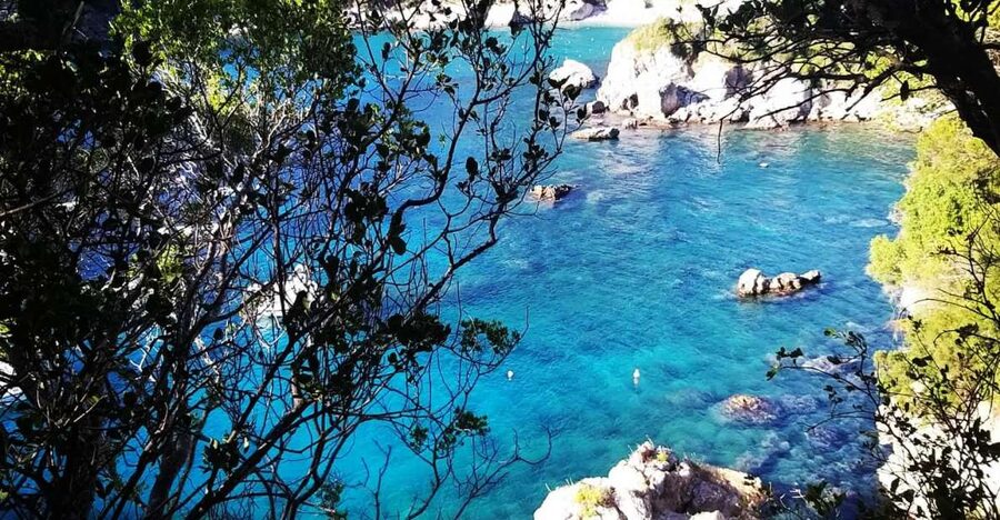 Corfu: Hiking in Olive Groves,Village,Sunset,with Swim Stop - A pastry before the trail