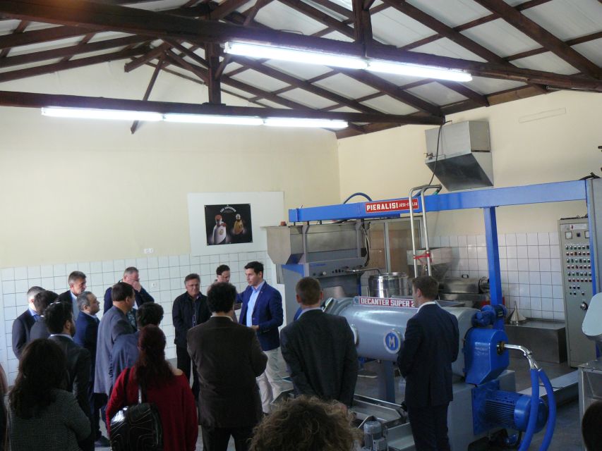 Corfu: Olive Oil Experience - The Governor's Olive Mill - Getting from Corfu to the mill