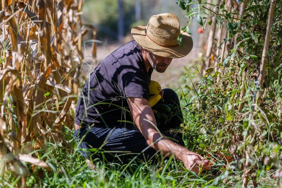 Corfu: Organic Olive Oil Farm Tour with Transfer and Tasting - Small groups and the quality of the visit